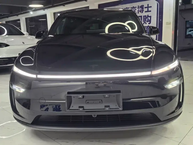 Tesla Model Y — Фото автомобиля 2