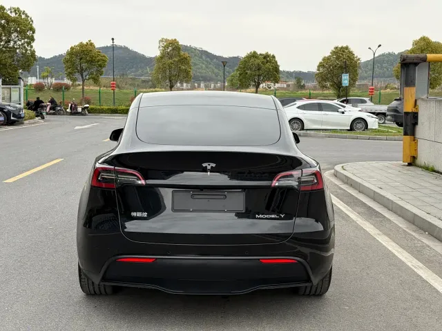 Tesla Model Y — Фото автомобиля 6