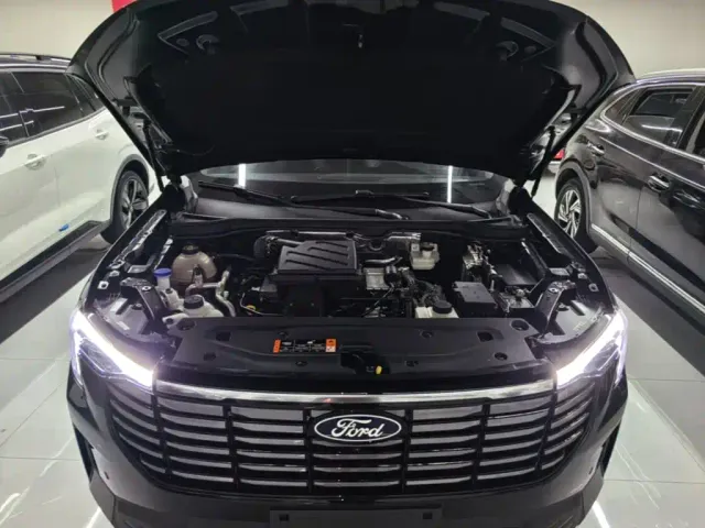 Ford Lingyu — Фото автомобиля 15