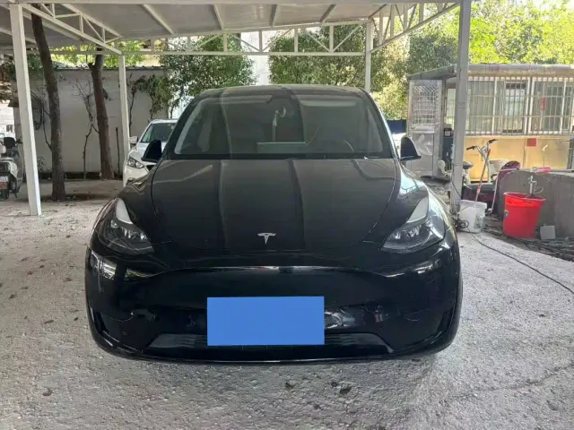 Tesla Model Y — Фото автомобиля 2
