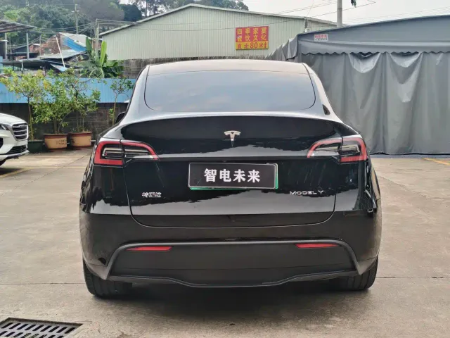 Tesla Model Y — Фото автомобиля 6