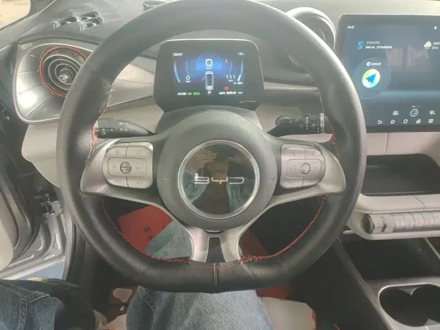 BYD Dolphin — Фото автомобиля 10