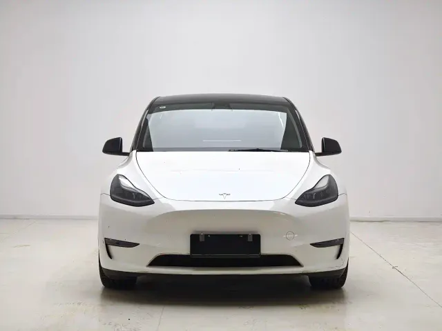 Tesla Model Y — Фото автомобиля 2