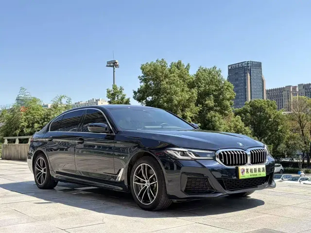 BMW 5 Series — Фото автомобиля 6