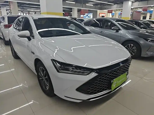 BYD Qin PLUS — Фото автомобиля 3