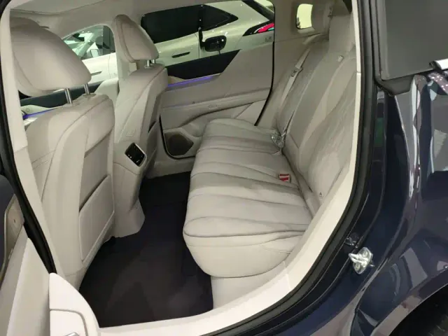 Buick Electra L7 — Фото автомобиля 16