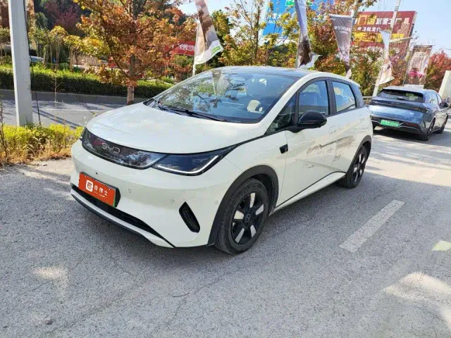 Фотография автомобиля — BYD Dolphin
