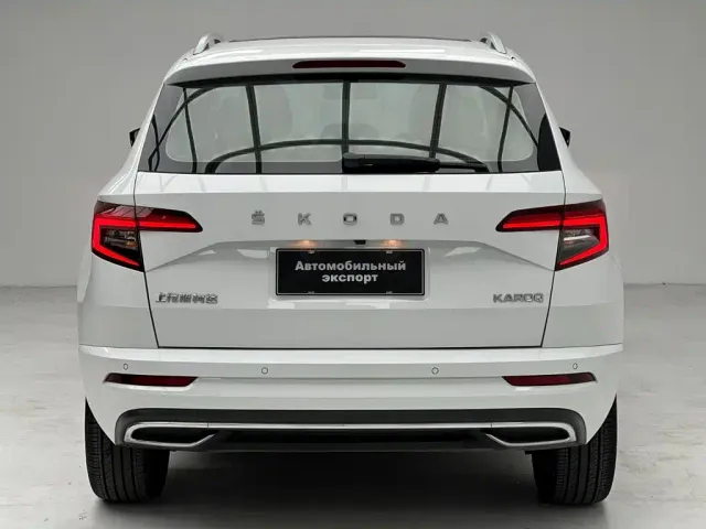 Skoda Karoq — Фото автомобиля 12