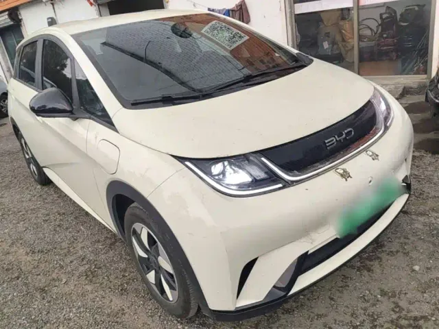 BYD Dolphin — Фото автомобиля 3