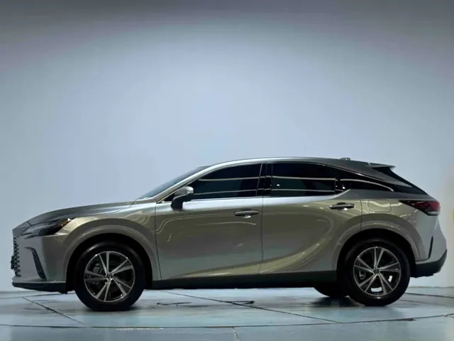 Lexus RX — Фото автомобиля 13