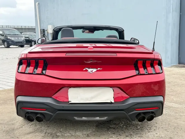 Ford Mustang — Фото автомобиля 9
