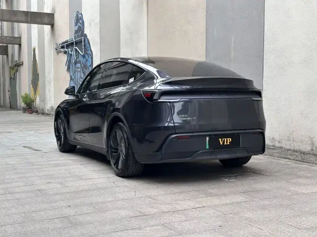 Tesla Model Y — Фото автомобиля 6