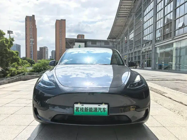 Tesla Model Y — Фото автомобиля 2
