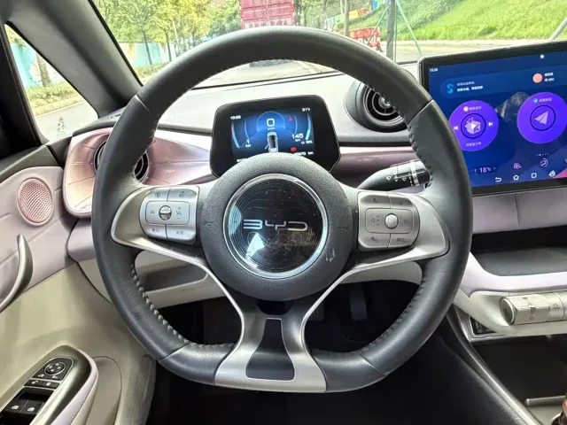 BYD Dolphin — Фото автомобиля 11