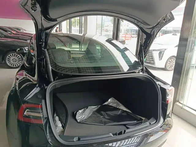 Tesla Model 3 — Фото автомобиля 18