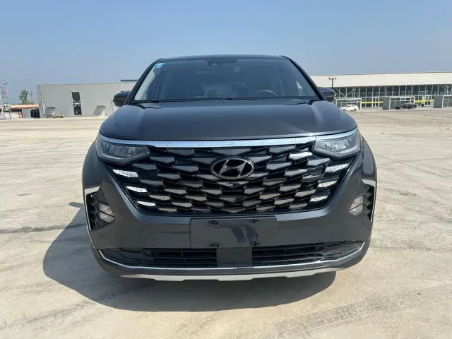Hyundai Custo — Фото автомобиля 2