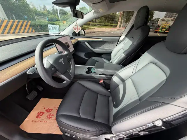 Tesla Model Y — Фото автомобиля 6