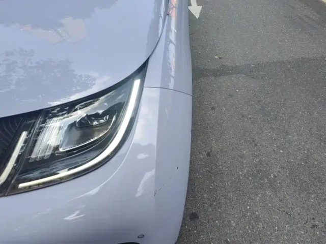 BYD Dolphin — Фото автомобиля 5