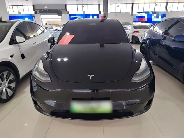 Tesla Model Y — Фото автомобиля 2