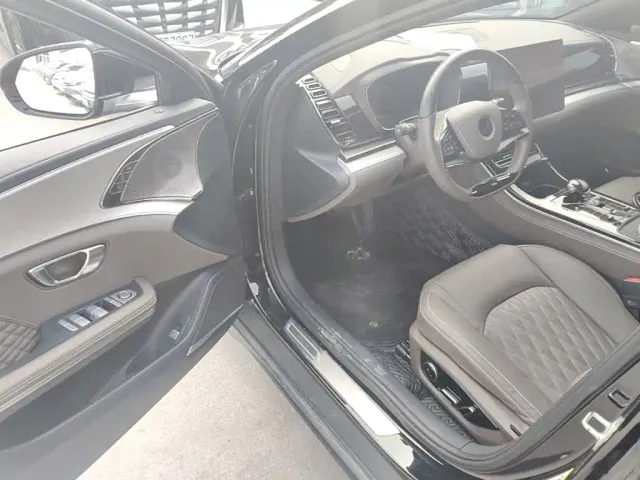 BYD Han — Фото автомобиля 15