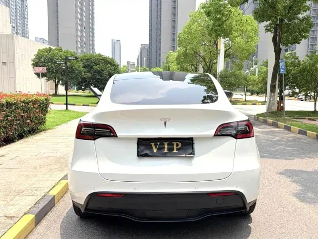 Tesla Model Y — Фото автомобиля 9