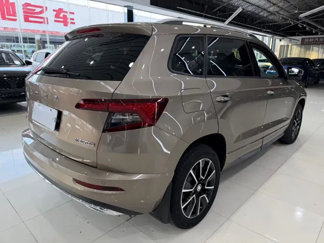 Skoda Karoq — Фото автомобиля 10