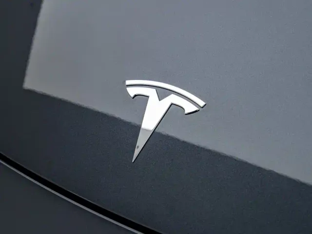 Tesla Model Y — Фото автомобиля 11