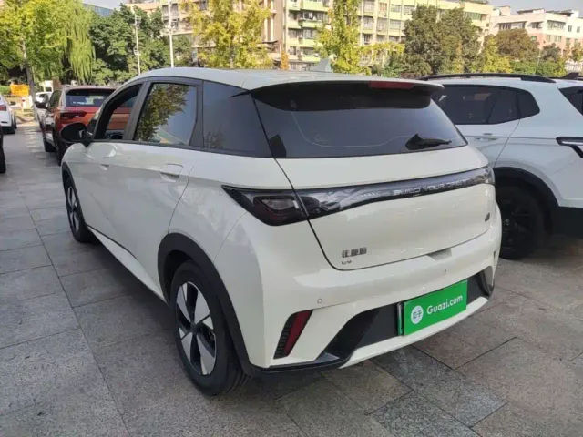 BYD Dolphin — Фото автомобиля 4