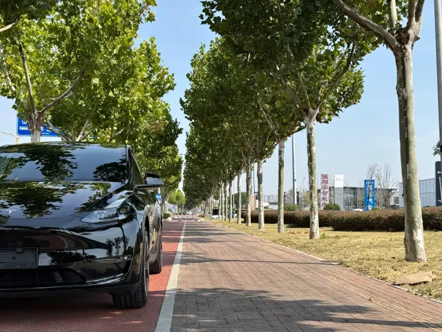 Tesla Model Y — Фото автомобиля 5