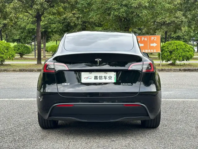Tesla Model Y — Фото автомобиля 4