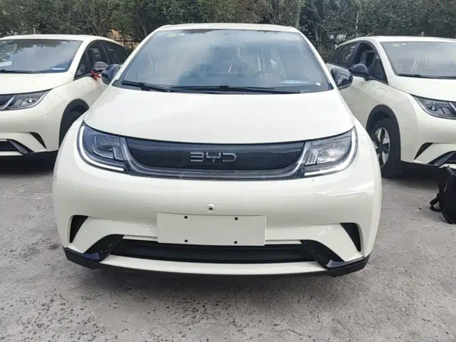 BYD Dolphin — Фото автомобиля 2