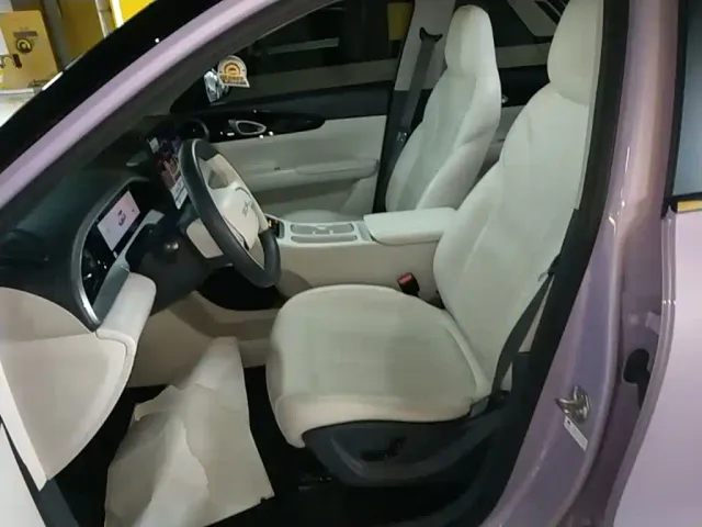 Geely Starry Wish — Фото автомобиля 14