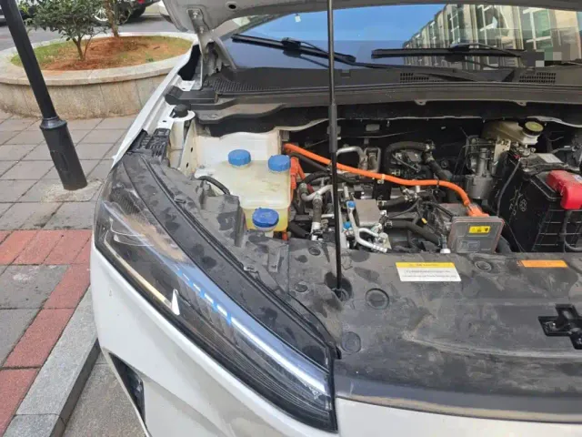 Dongfeng SKY EV01 — Фото автомобиля 20
