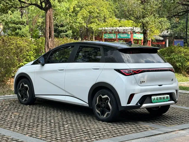 BYD Dolphin — Фото автомобиля 16