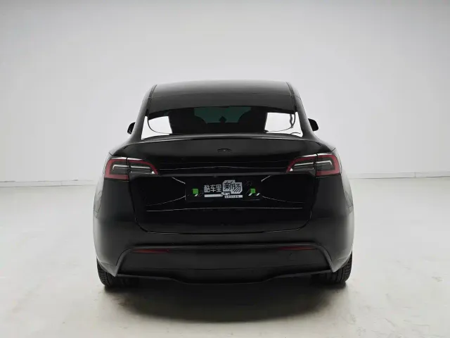 Tesla Model Y — Фото автомобиля 5