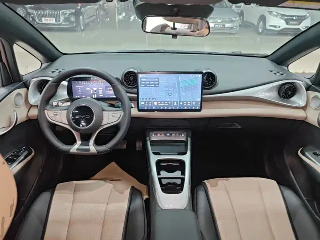 BYD Dolphin — Фото автомобиля 9
