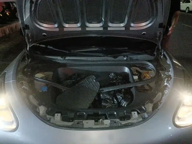 Geely Starry Wish — Фото автомобиля 16