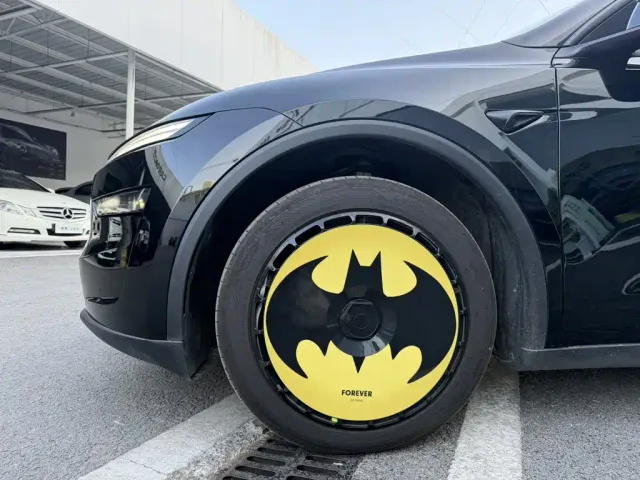 Tesla Model Y — Фото автомобиля 10
