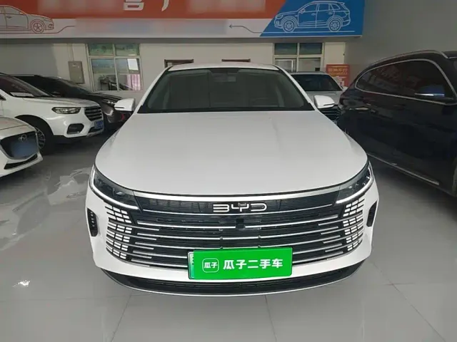 BYD Destroyer 05 — Фото автомобиля 2