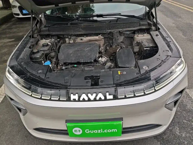 Haval Xiaolong MAX — Фото автомобиля 19