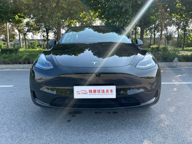 Tesla Model Y — Фото автомобиля 2