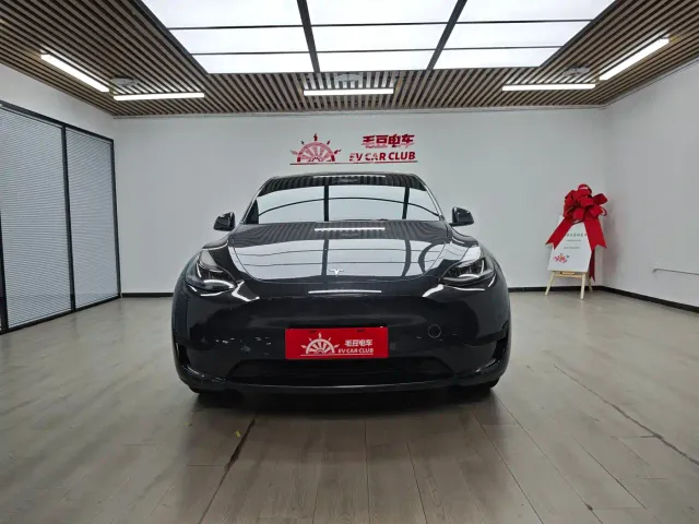 Tesla Model Y — Фото автомобиля 3