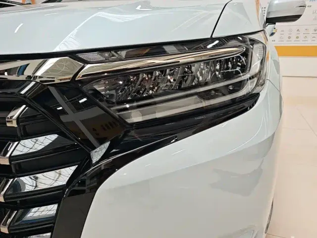 Honda Elysion — Фото автомобиля 23
