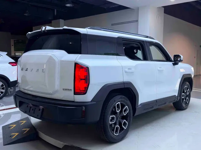 Haval Cool Dog — Фото автомобиля 6