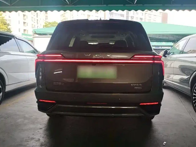 Wey Lanshan — Фото автомобиля 5