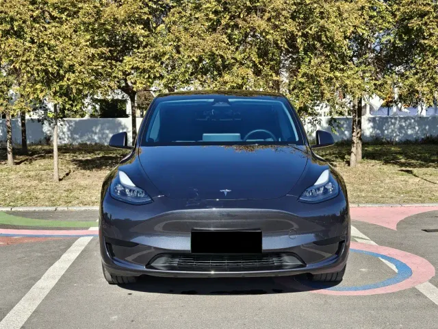 Tesla Model Y — Фото автомобиля 2