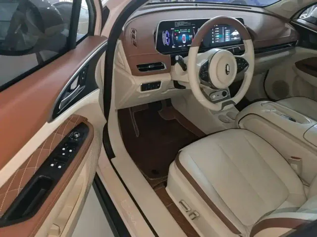Ora Good Cat — Фото автомобиля 15