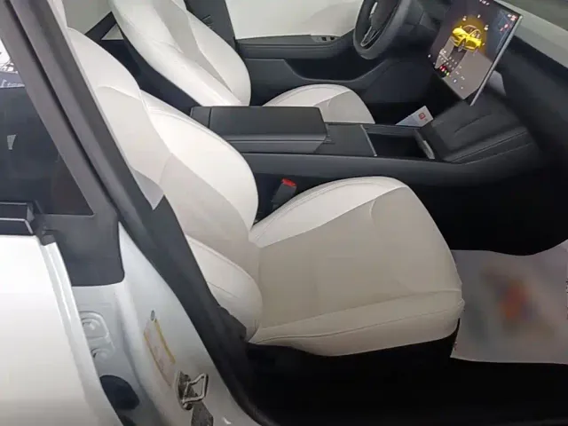 Tesla Model 3 — Фото автомобиля 24