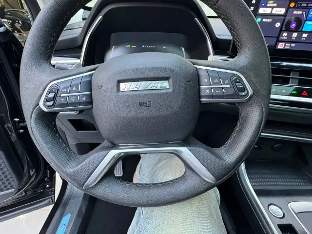 Haval H6 — Фото автомобиля 19