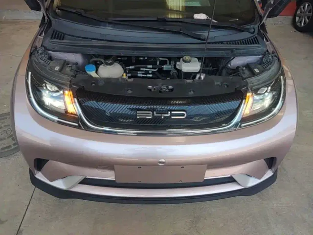 BYD Dolphin — Фото автомобиля 19